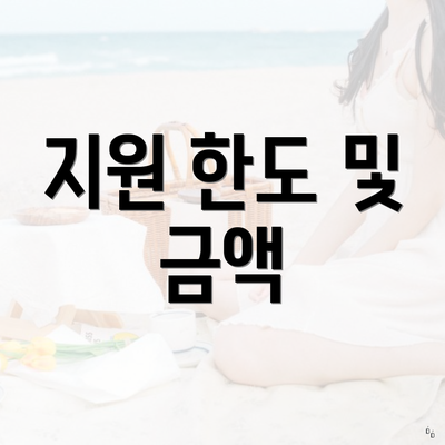 지원 한도 및 금액