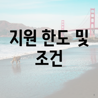 지원 한도 및 조건