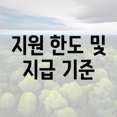 지원 한도 및 지급 기준