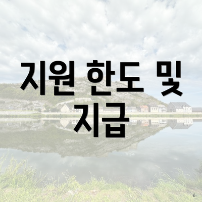 지원 한도 및 지급