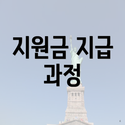 지원금 지급 과정