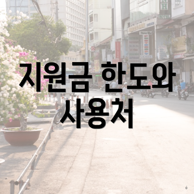 지원금 한도와 사용처