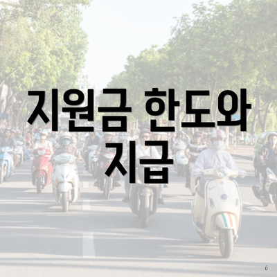 지원금 한도와 지급