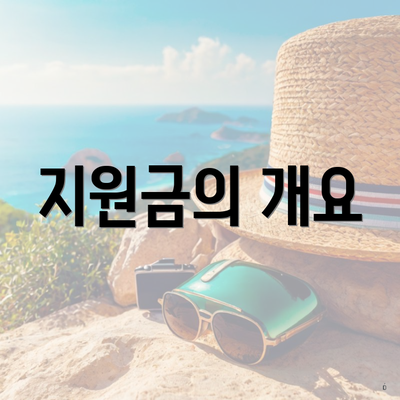 지원금의 개요