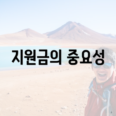 지원금의 중요성