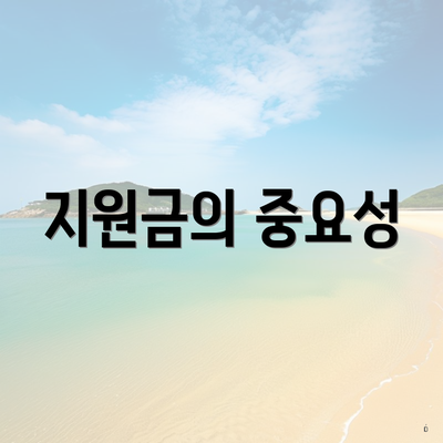 지원금의 중요성