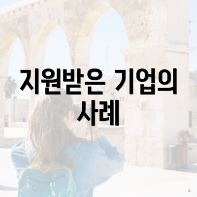 지원받은 기업의 사례