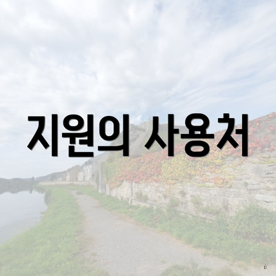 지원의 사용처