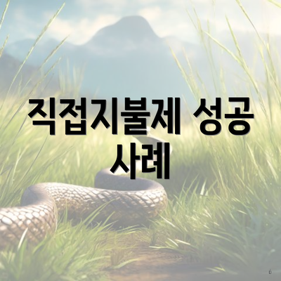 직접지불제 성공 사례