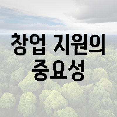 창업 지원의 중요성