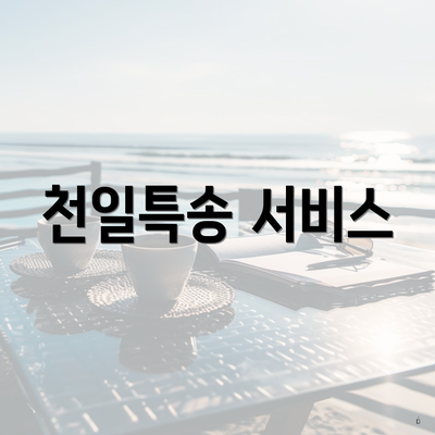 천일특송 서비스