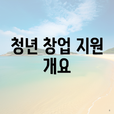 청년 창업 지원 개요