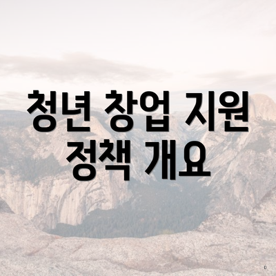 청년 창업 지원 정책 개요