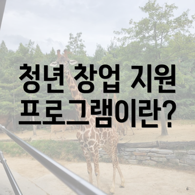 청년 창업 지원 프로그램이란?