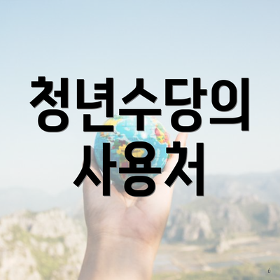 청년수당의 사용처