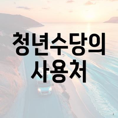 청년수당의 사용처