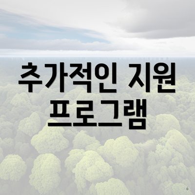 추가적인 지원 프로그램