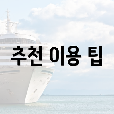 추천 이용 팁