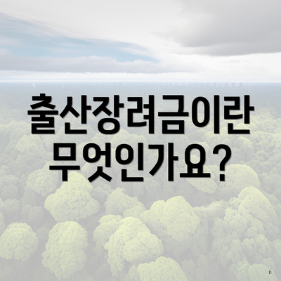 출산장려금이란 무엇인가요?