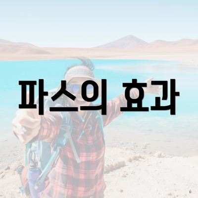 파스의 효과