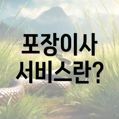 포장이사 서비스란?