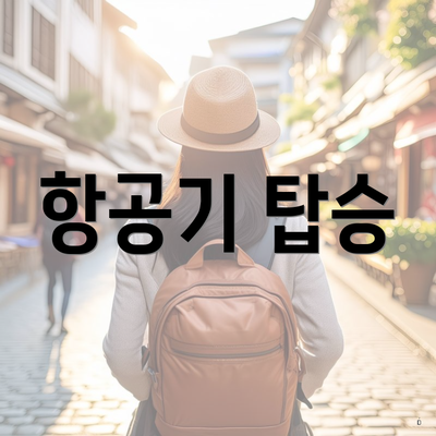 항공기 탑승