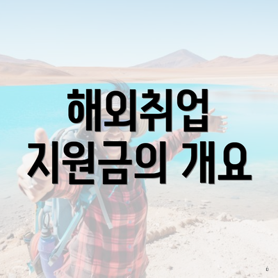 해외취업 지원금의 개요