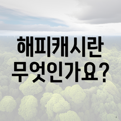 해피캐시란 무엇인가요?