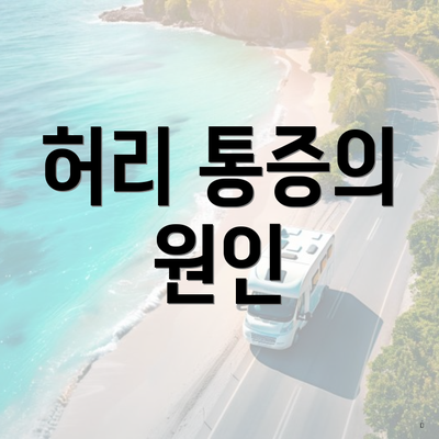허리 통증의 원인