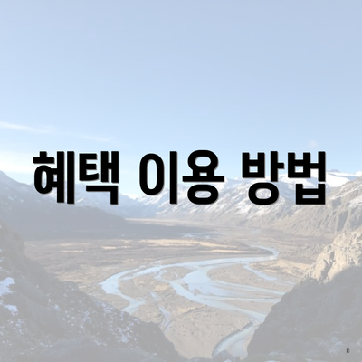 혜택 이용 방법