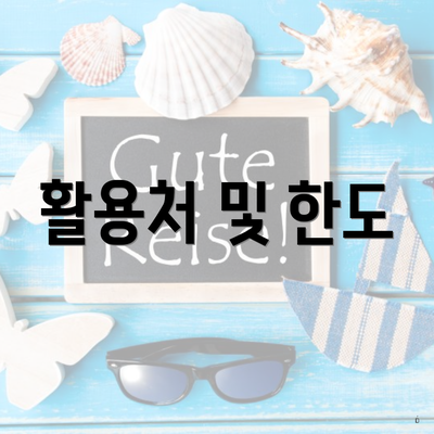 활용처 및 한도
