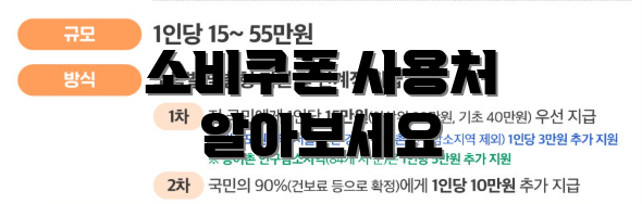 소비쿠폰 사용처 알아보세요