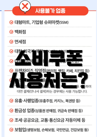 소비쿠폰 사용처는?