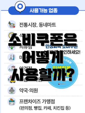 소비쿠폰은 어떻게 사용할까?