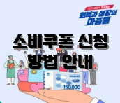 소비쿠폰 신청 방법 안내