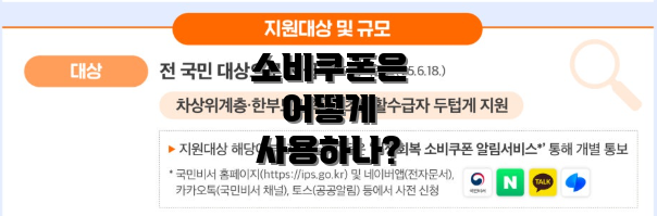 소비쿠폰은 어떻게 사용하나?