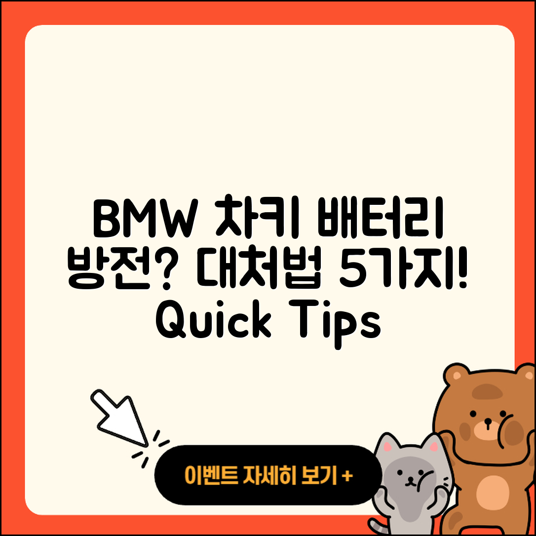 BMW 차키 배터리 방전 시 대처법 5가지